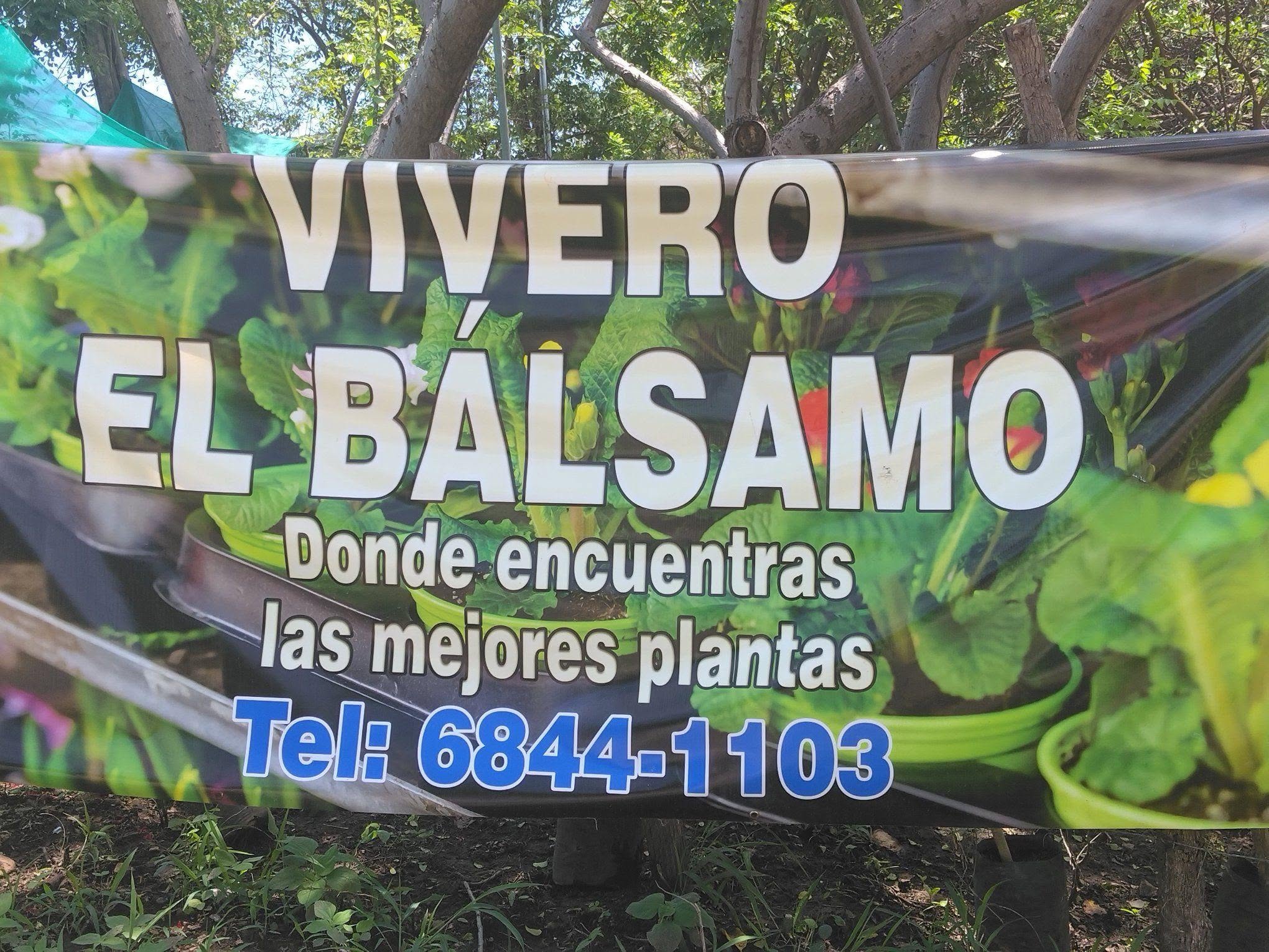 Nuestro vivero